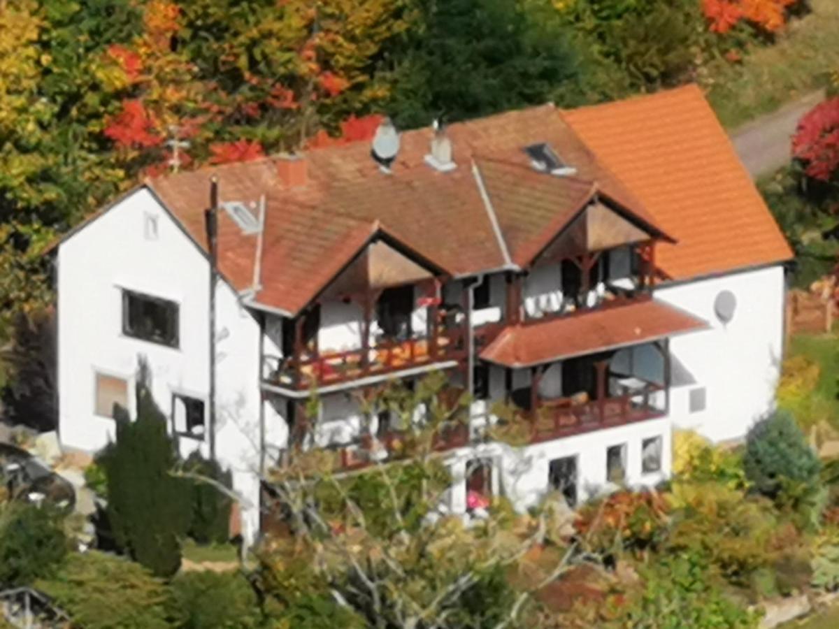 Apartament Haus Katz Schönau Zewnętrze zdjęcie